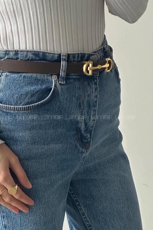 Bitter Brown Belted Silver Belt