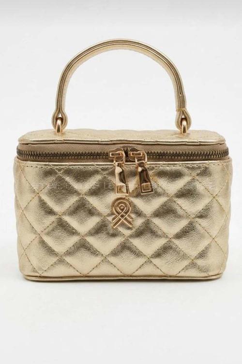 Gold Buckle Skin Hand Bag Bag