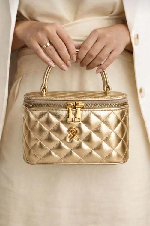 Gold Buckle Skin Hand Bag Bag